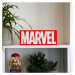 Svetlo Marvel - Logo