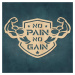 Motivačný obraz - No Pain No Gain