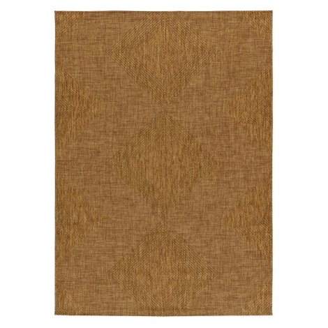 Hnedý vonkajší koberec 80x150 cm Guinea Natural – Universal