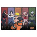 Plagát Naruto Shippuden - Naruto & Allies (38)