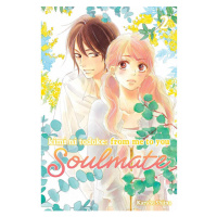 Viz Media Kimi ni Todoke: From Me to You - Soulmate 2