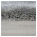 Kusový koberec Pearl Grey Rozmery kobercov: 160x230