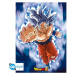 Set 2 plagátov Dragon Ball Super - Goku & Friends (52x38 cm)