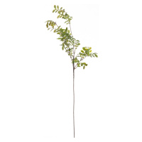 Dekoria Vetvička Green Twig 100cm, 20 x 5 x 100 cm