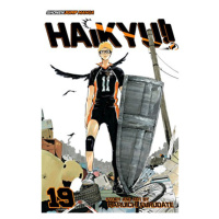 Viz Media Haikyu!! 19