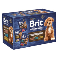 BRIT Premium Dog Fillets Gravy Multipack 1020g