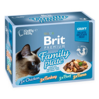 BRIT cat vrecko FAMILY PLATE - 12x85g