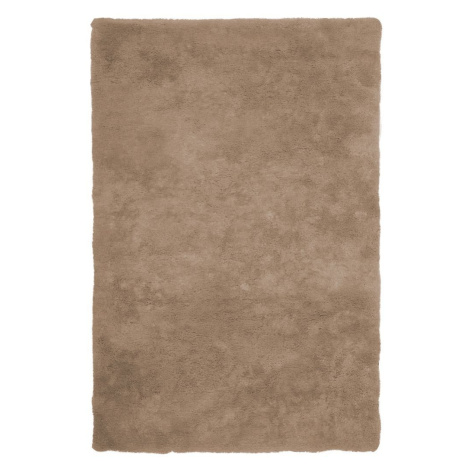 Kusový koberec Curacao 490 Taupe Rozmery koberca: 200x290