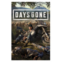 Days Gone (PC - Steam)