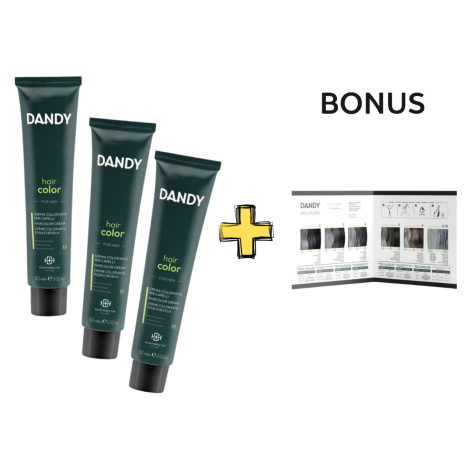 AKCIA: 6x Dandy Hair Color - permanentná pánska farba na vlasy, 60 ml + vzorkovník