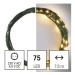 Vánoční LED řetěz Nanos zelený s časovačem 7,5 m teplá bílá