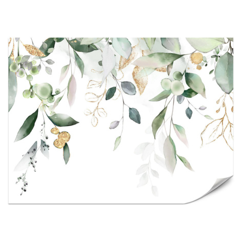 Muralo FOTOTAPETA Pre Spálňu Akvarel Listy Eukalyptus Biela 200 x 140 cm