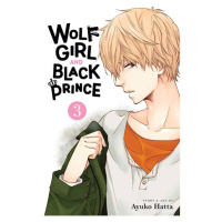 Viz Media Wolf Girl and Black Prince 3