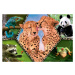 Trefl Puzzle 100 dielikov -  Krása prírody / Discovery Animal Planet