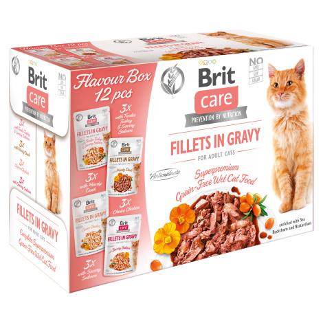 Brit Care Fillets in Gravy Flavour Box - 12x85g