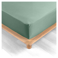 Zelená napínacia plachta z bavlneného perkálu 140x190 cm Percaline – douceur d'intérieur