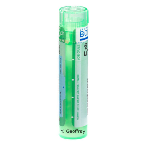 AGNUS CASTUS CH5 granule 4 g