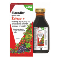 Salus Floradix Železo+ 500 ml