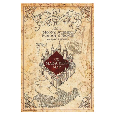 Plagát Harry Potter - Maurauder's Map (29)