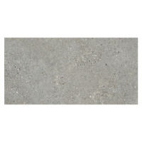 Dlažba Fineza Breccia sivá 60x120 cm mat BRECCIA612GR