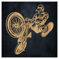 Drevený obraz na stenu - Street cyklista, Dub zlatý