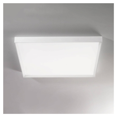 Stropné LED svietidlo Tara maxi, 74 cm x 74 cm Linea Light