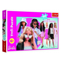 Puzzle Barbie a jej svet 41x27, 5cm 160 dielikov v krabici 29x19x4cm