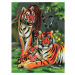 Creatoys Maľovanie 22 x 30 cm Tigre