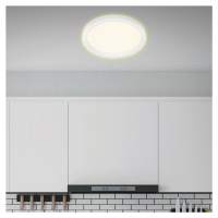 Stropné LED svietidlo 7361, Ø 29 cm, biele