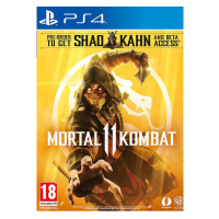 Mortal Kombat 11 (PS4)