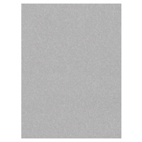 Kusový koberec Nasty 101595 Silber Rozmery kobercov: 80x300