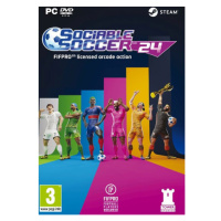 Sociable Soccer 24 (PC)