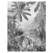 Komar Fototapeta Lac Tropical Black & White 200x270 cm