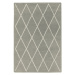 Sivý ručne tkaný vlnený koberec 200x290 cm Albany – Asiatic Carpets