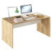 Písací stôl, dub artisan/biela, RIOMA TYP 16