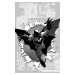 DC Comics Batman 6: Graveyard Shift (The New 52) Pevná väzba