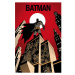 GBeye DC Comics Batman Poster 91,5 x 61 cm