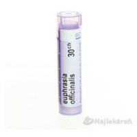 EUPHRASIA OFFICINALIS, GRA HOM CH30, na alergické alebo infekčné zápaly, 4 g