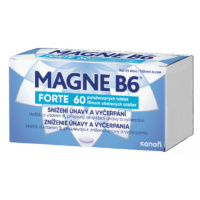 MAGNE B6 FORTE 60TBL