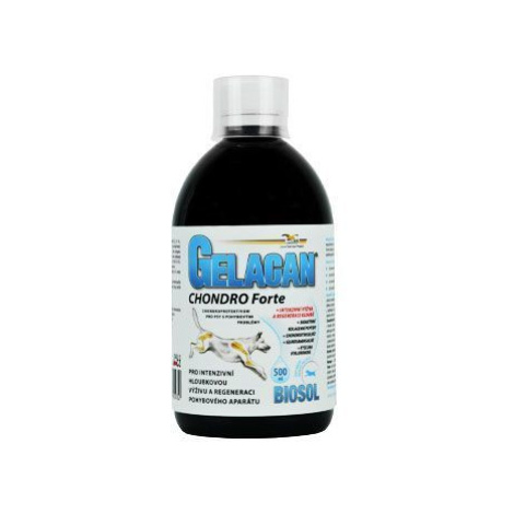 Gelacan Chondro Forte Biosol 500ml