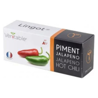 Véritable Lingot Jalapeno štipľavé čili