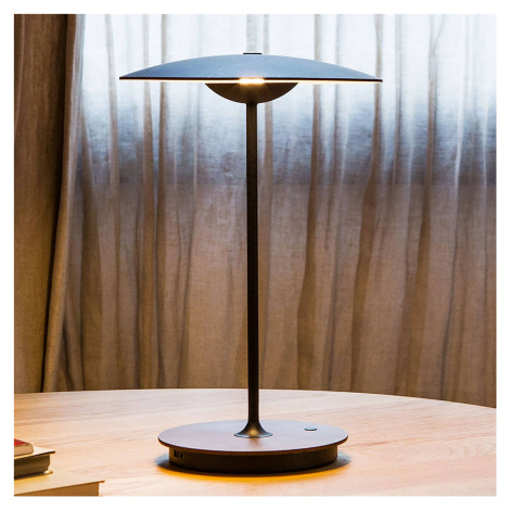 MARSET Ginger stolová LED lampa drevo, wenge/biela