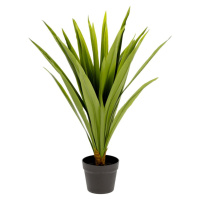 Umelá rastlina (výška  80 cm) Yucca – Kave Home