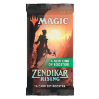 Wizards of the Coast Magic the Gathering Zendikar Rising Set Booster
