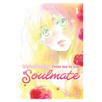 Viz Media Kimi ni Todoke: From Me to You - Soulmate 1