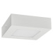 LED30 FENIX-S White 6W NW 370/610lm - Přisazené LED svítidlo typu downlight