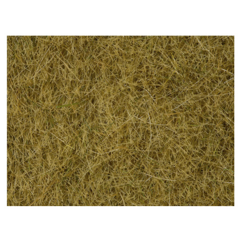 Divoká tráva, béžová, 50g /H0/ NOCH