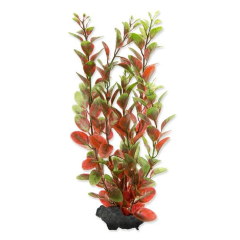 Dekorácia Tetra Rastlina Red Ludwigia M 23cm