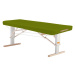 Prenosný elektrický masážny stôl Clap Tzu Linea Ayurveda Farba: PU - zelená (grass), Doplnky: si