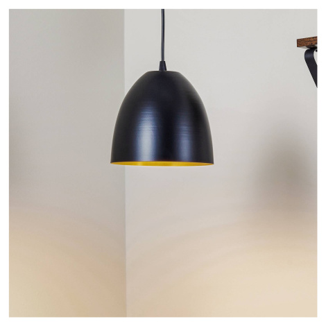 Závesná lampa Lenox jedno-plameňová, čierna/zlatá